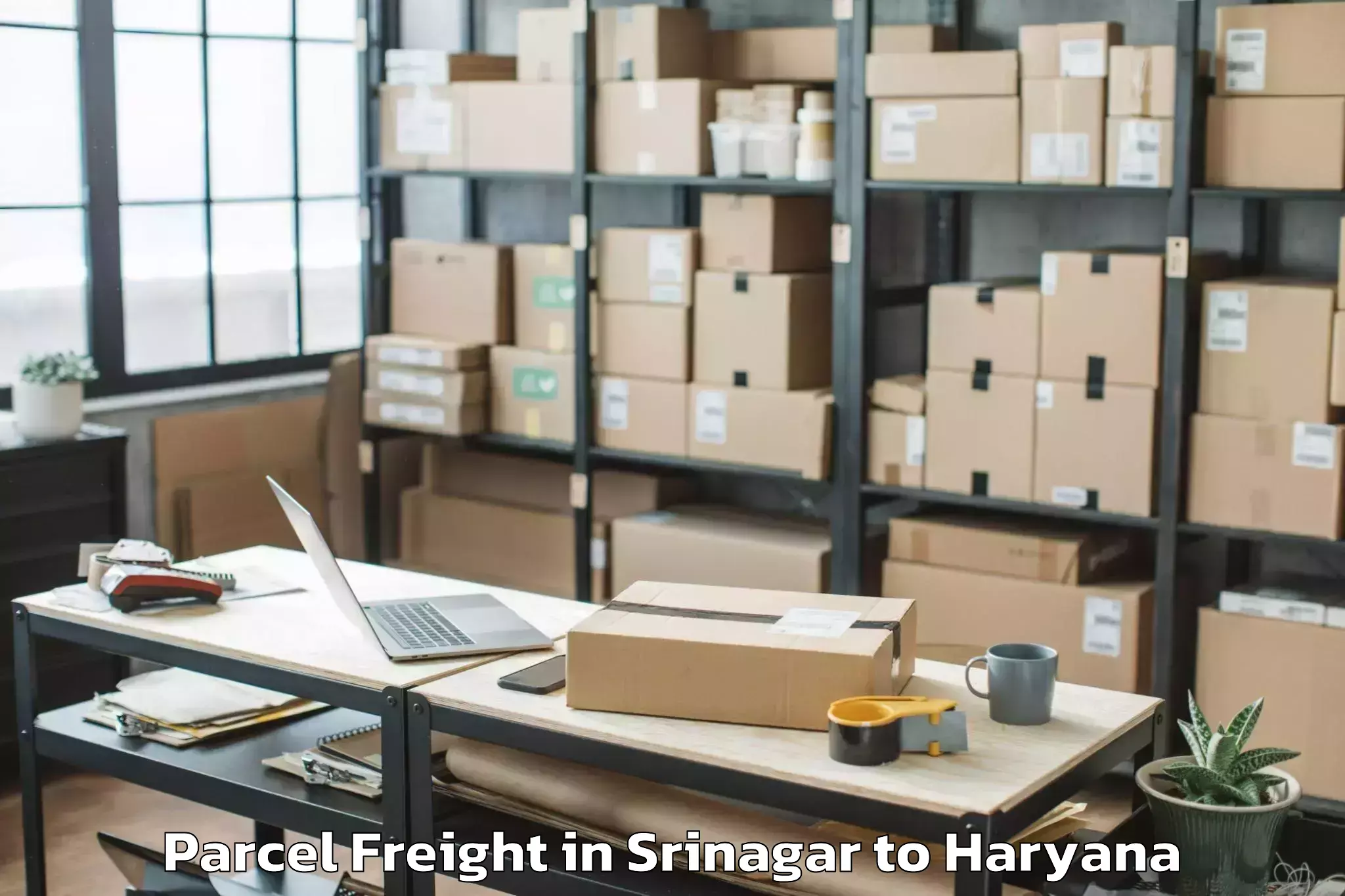 Hassle-Free Srinagar to Kalka Parcel Freight